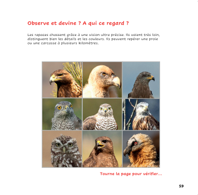 rapaces 10
