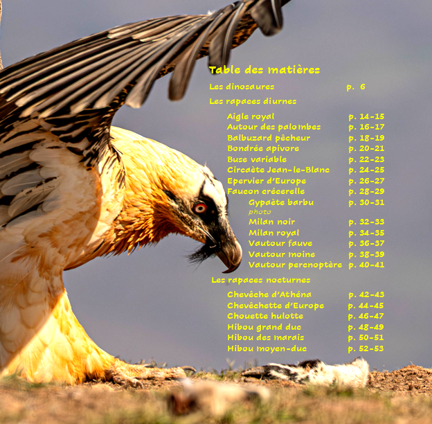 rapaces 2