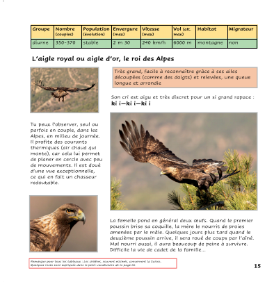 rapaces4