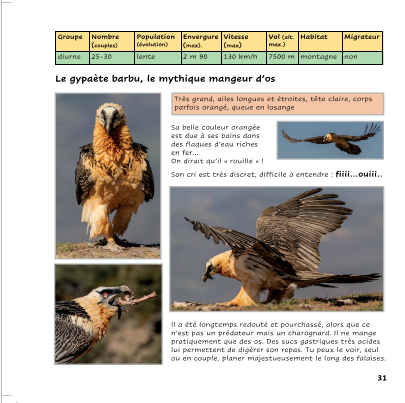 rapaces 6